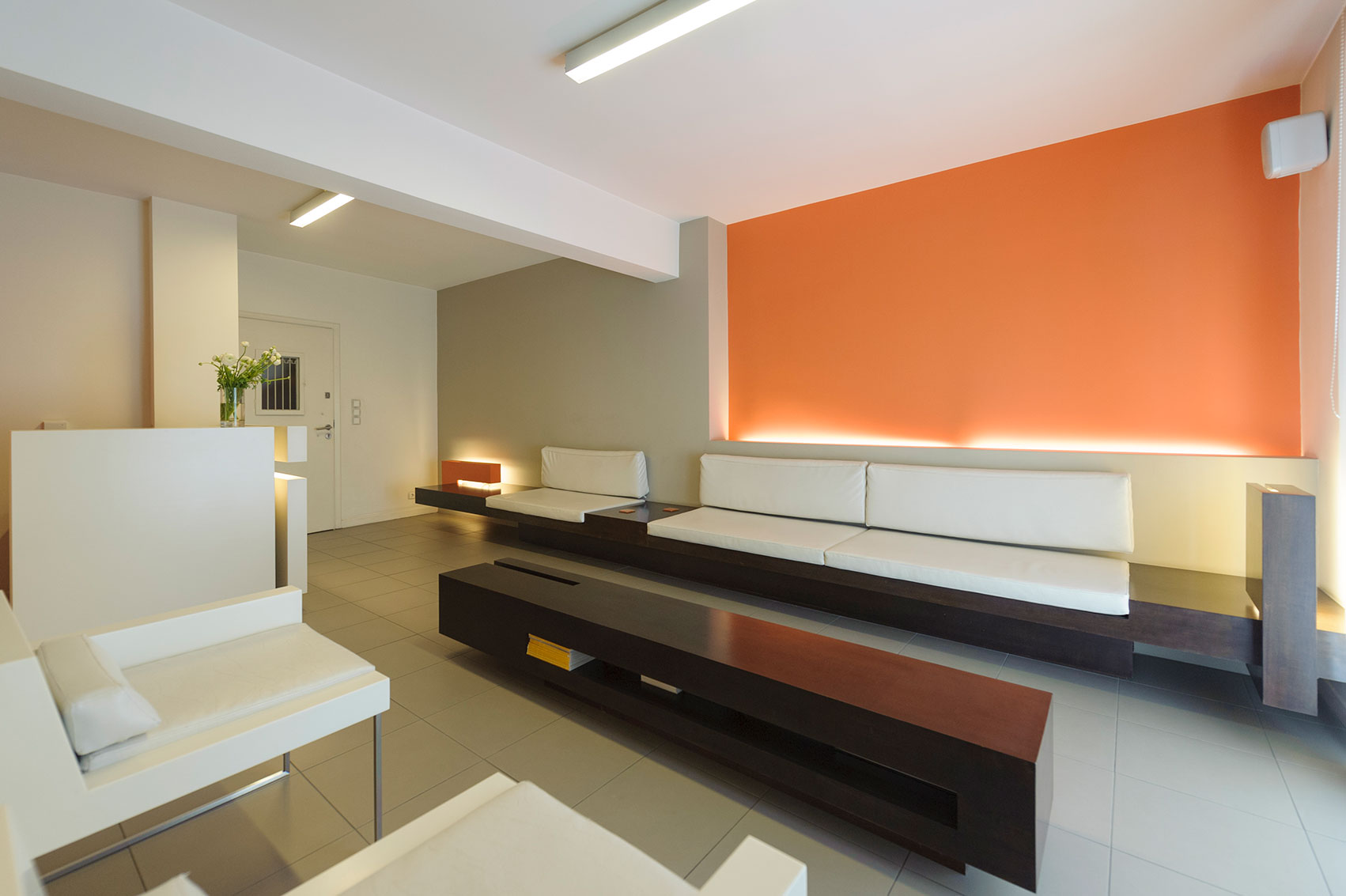 DentArtistry 2